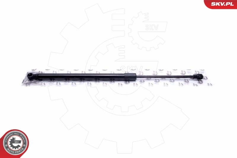Gas Spring, boot/cargo area